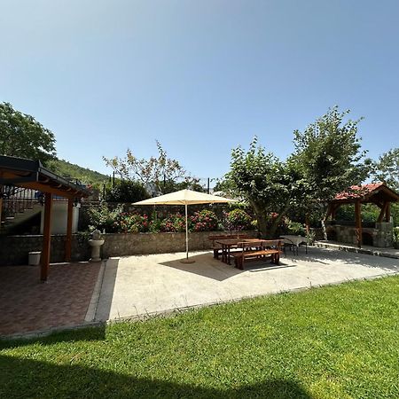 Apartmani Stanisic Čanj 외부 사진